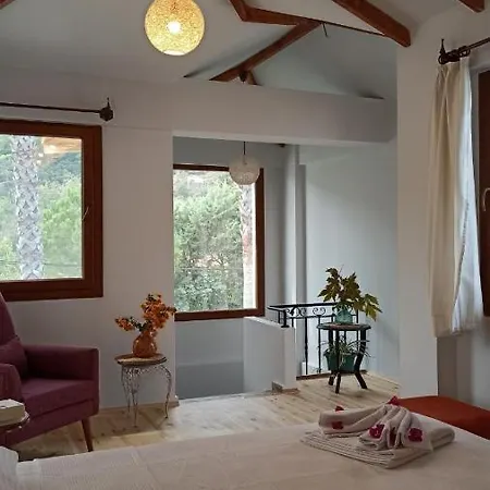 Villa Merry - Dalyan Stonehouse With Palmtrees, 50m To River Ortaca (Mugla)