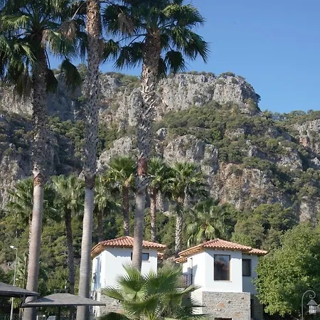 Merry - Dalyan Stonehouse With Palmtrees, 50m To River Villa *