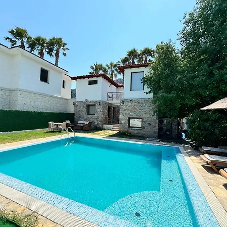 Merry - Dalyan Stonehouse With Palmtrees, 50m To River Villa *